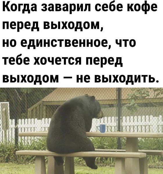 ***Victoria Viktorovna*** - 17  2022  05:12