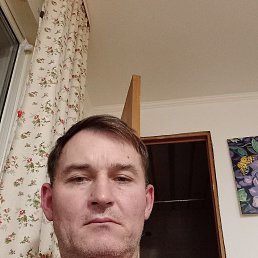 , 52 , 