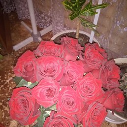  , , 30  -  11  2022