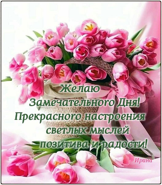   ,    . - 16  2022  12:52