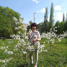 ���� �������, ��������, 50 ��� - ��������� 15 ���� 2022