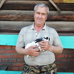 ���� ����, ������, 54 ���� - ��������� 11 ������� 2022