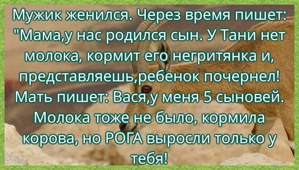 Анекдот рога выросли только. Статус про женатых мужиков.