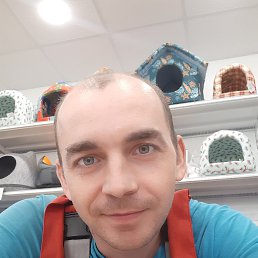 ���� ������, ���������, 40 ��� - ��������� 3 ������ 2022