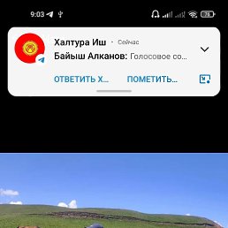  , , 41  -  7  2022