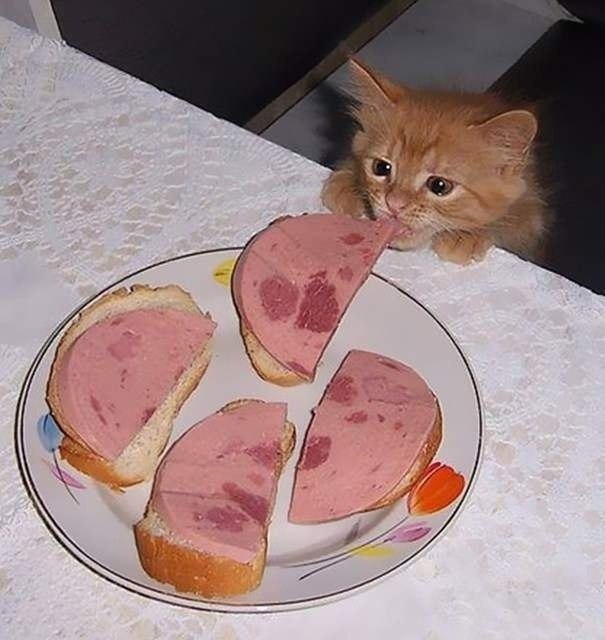 "...,       !"
