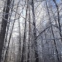 ���� �������, �����, 59 ��� - ��������� 20 ������� 2023 � ������ ���� ����������