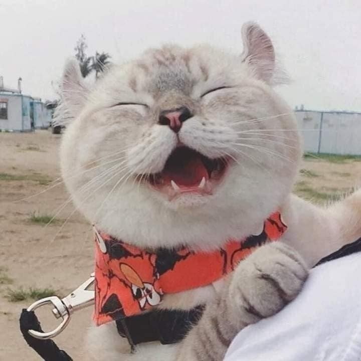        - 4