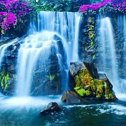 ����, ������, 56 ���