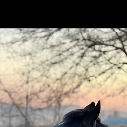 �������, ������, 25 ���