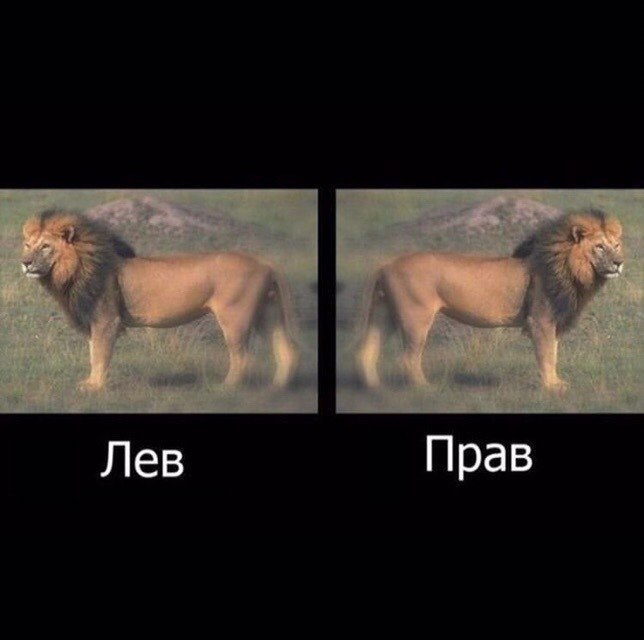 ))).             ... - 3