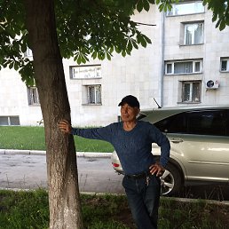 ���� ����, ������, 73 ���� - ��������� 18 ��� 2022