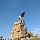 , , 49  -  6  2022