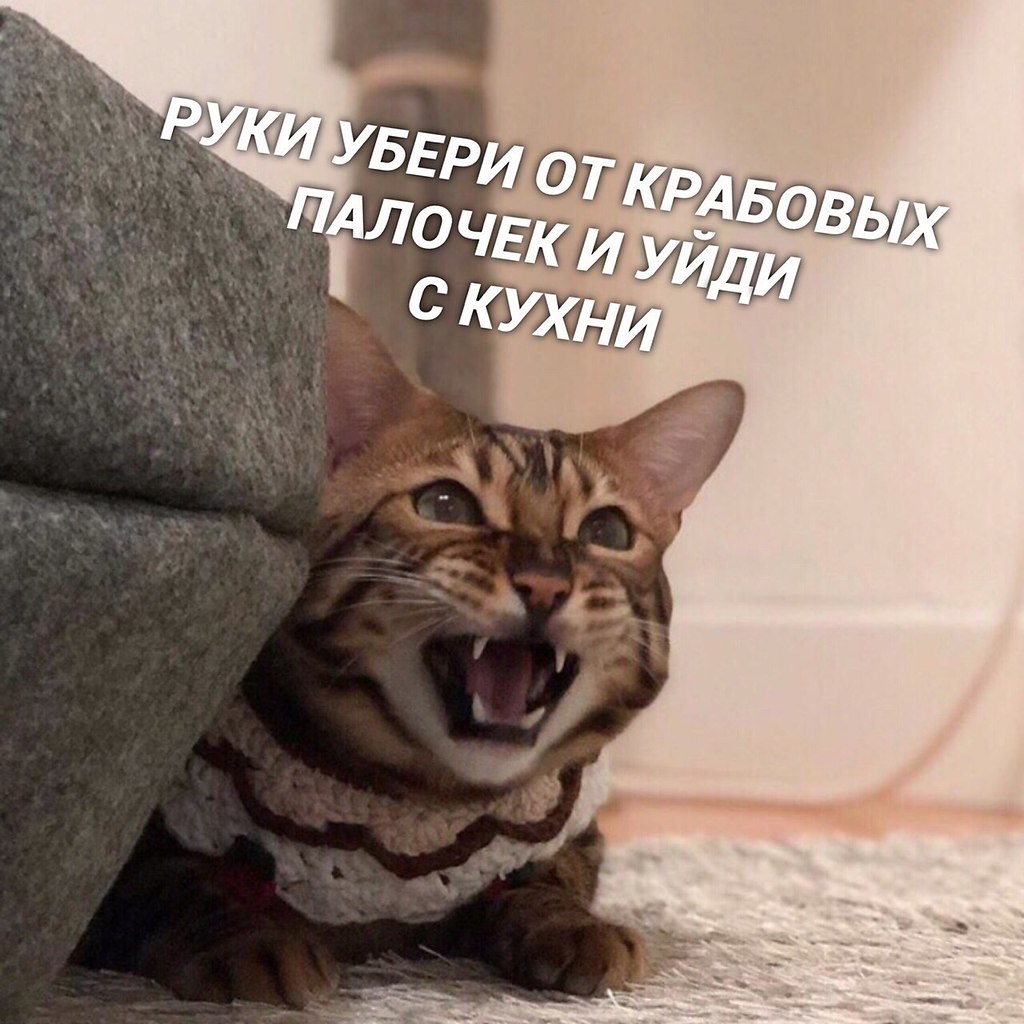  ) - 6
