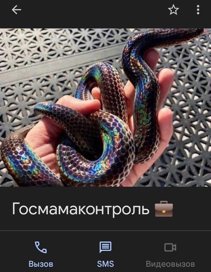   -  , ... - 6