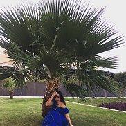 ����, 41 ���, ����