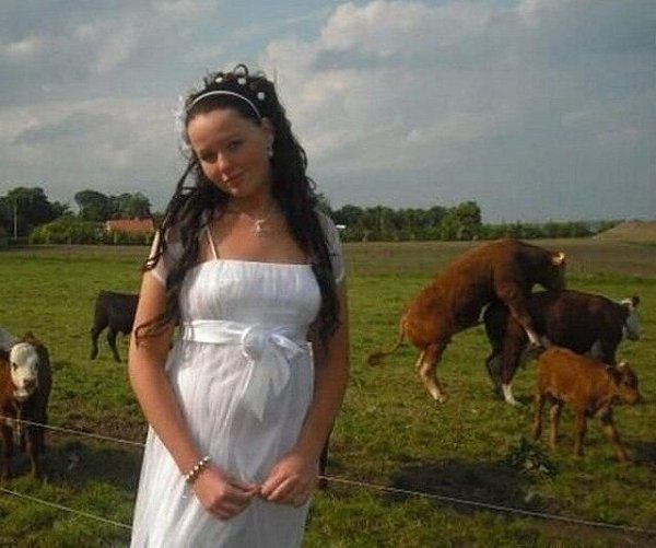 Ox  a aocepa epeeco ca))