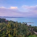  Petru, , 56  -  24  2022