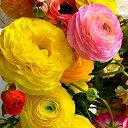 ���� Egor, ��������, 55 ��� - ��������� 19 ������� 2022 � ������ ������ ��������