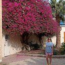 ���� �������, ������, 59 ��� - ��������� 5 ��� 2022 � ������ ���� ����������