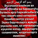 ���� ��������, �������, 73 ���� - ��������� 27 ������ 2023 � ������ ������ ��������