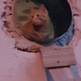 ����, ������ ��������, 21 ���