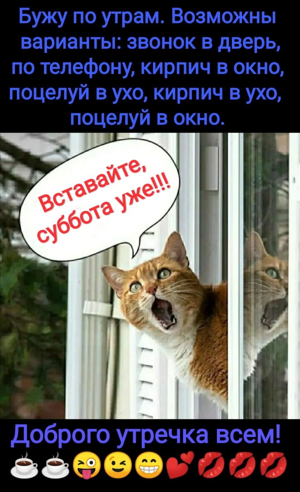 ***Victoria Viktorovna*** - 26  2022  04:50