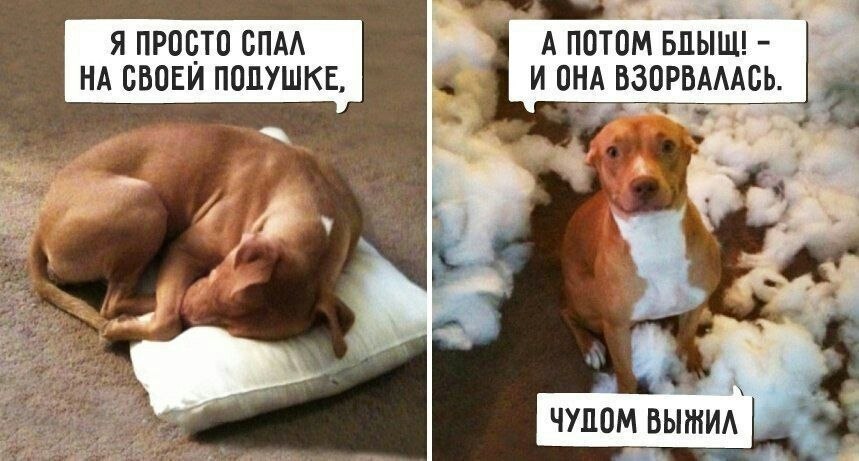    - 18  2022  09:42