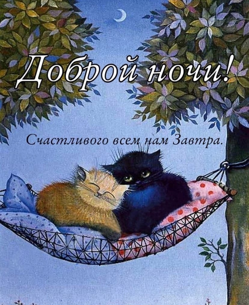   - 5  2022  23:44