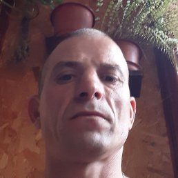 , , 44 