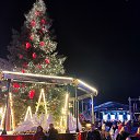 ���� ����, �����, 46 ��� - ��������� 1 ������ 2023 � ������ ���� ����������