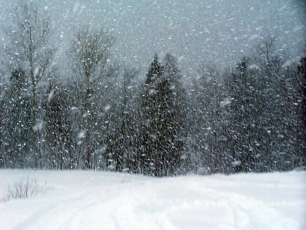 Третьи сутки метет метель. Снова унты и рукавицы. Стало ясно: это апрель Этак хитро в двери ...