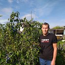  Vadim, , 51  -  21  2022    