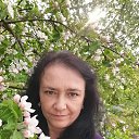  ,  , 52  -  20  2022    