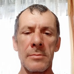 ������, ������, 51 ���