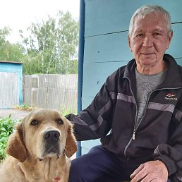 �����, ������, 73 ����