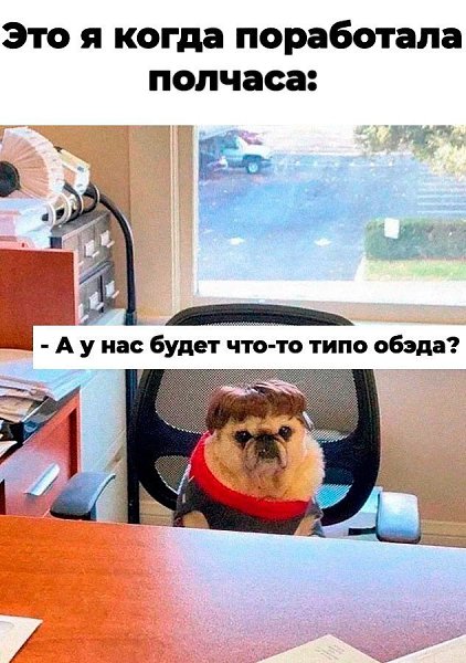 Была бы моя воля, я бы на работе только ела, пила кофе с печеньками и иногда обсуждала с коллегами ...