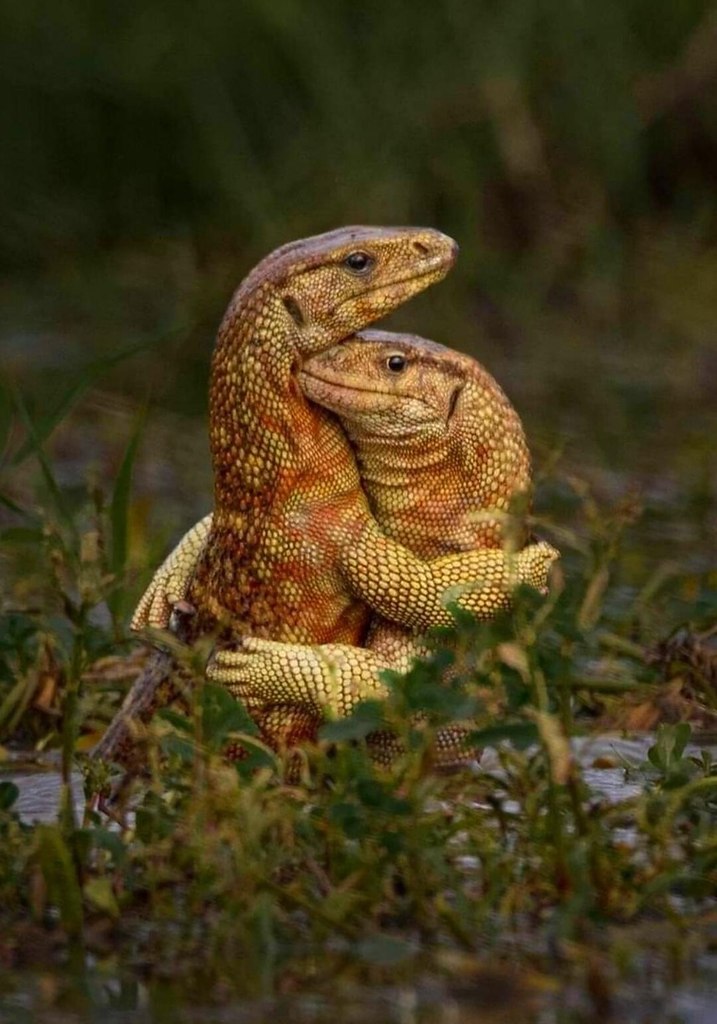 ..