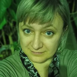 ��������, ������, 49 ���