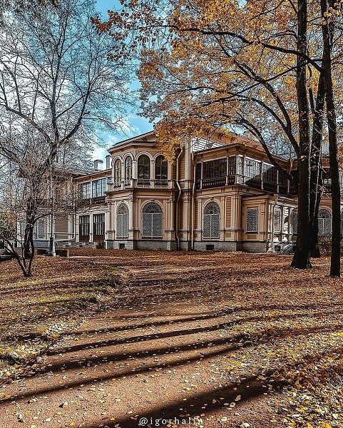 Лопухинский сад. Дача Громова В.Ф. Когда-то в благоухающем саду били фонтаны, в роскошной оранжерее ... - 2