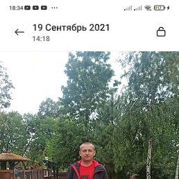 �������, �������, 46 ���