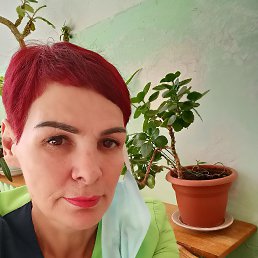 , 55, 