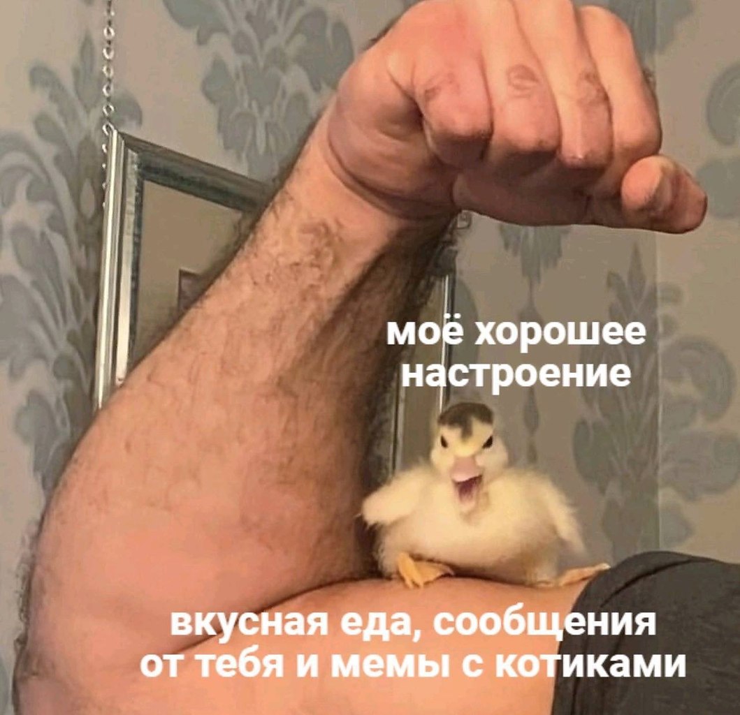    - 19  2023  01:16