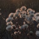 ���� �����, ������, 66 ��� - ��������� 19 ������� 2022