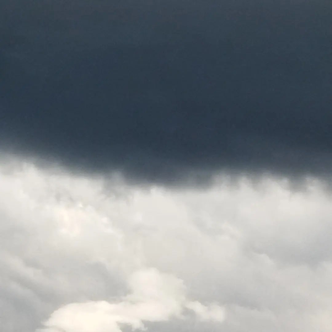  - 12  2022  15:49 - 7