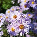 ���� ����, �����������-��-�����, 56 ��� - ��������� 4 ������� 2023 � ������ ���� ����������