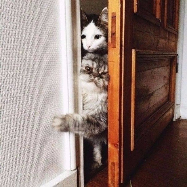 ,  5  ... - 4