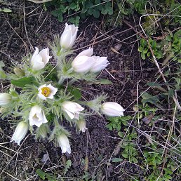 ���� �����, ������, 56 ��� - ��������� 23 ������� 2022