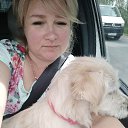 ���� �����, �����-���������, 49 ��� - ��������� 20 ����� 2022 � ������ ���� ����������