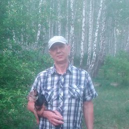 ��������, ���������, 62 ����